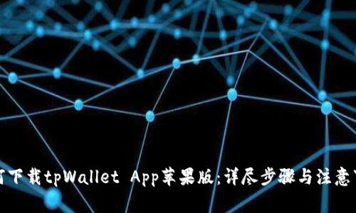 如何下载tpWallet App苹果版：详尽步骤与注意事项