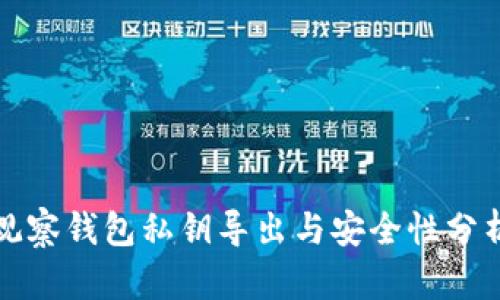观察钱包私钥导出与安全性分析