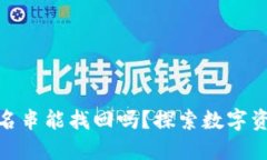 冷钱包中的签名串能找回吗？探索数字资产安全