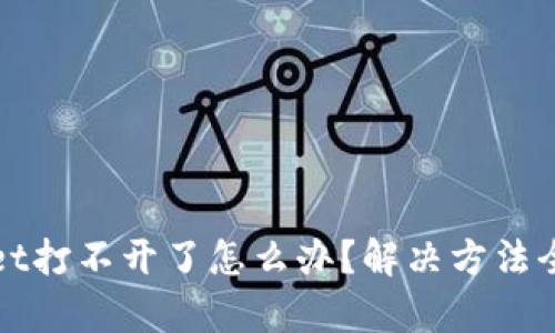 tpWallet打不开了怎么办？解决方法全面解析