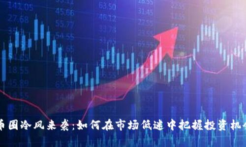 币圈冷风来袭：如何在市场低迷中把握投资机会