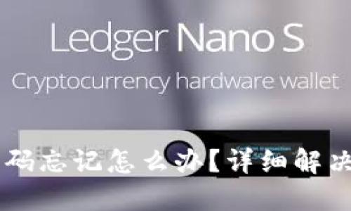 TPWallet交易密码忘记怎么办？详细解决方案与安全提示