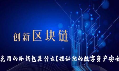 马斯克用的冷钱包是什么？揭秘他的数字资产安全策略