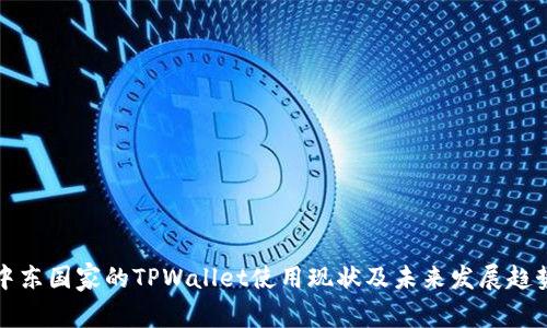 中东国家的TPWallet使用现状及未来发展趋势
