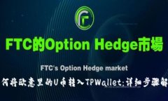 如何将欧意里的U币转入TPWallet：详细步骤解析