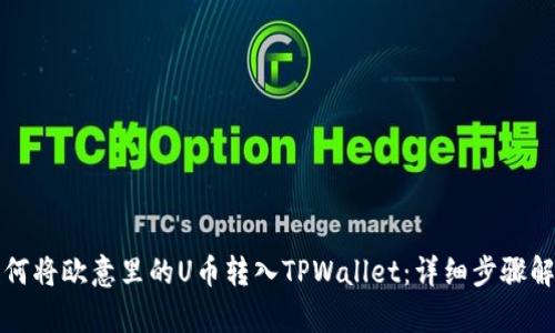 如何将欧意里的U币转入TPWallet：详细步骤解析