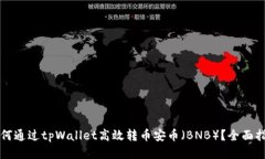 如何通过tpWallet高效转币安币（BNB）？全面指南
