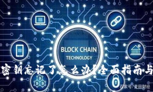 tpWallet密钥忘记了怎么办？全面指南与解决方案