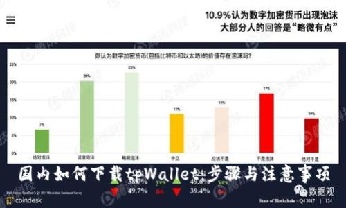 国内如何下载tpWallet：步骤与注意事项