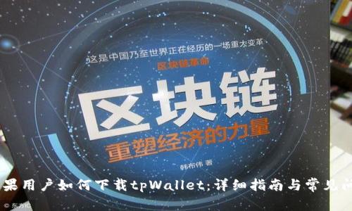 biati苹果用户如何下载tpWallet：详细指南与常见问题解答