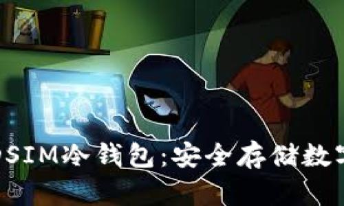 如何下载和使用DSIM冷钱包：安全存储数字资产的全面指南