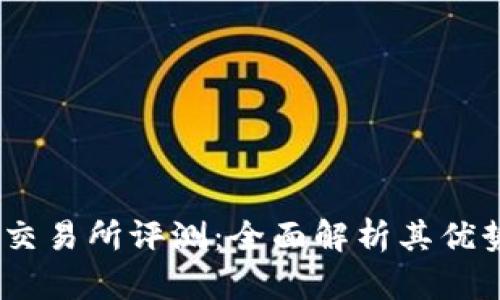 Topcoin交易所评测：全面解析其优势与不足