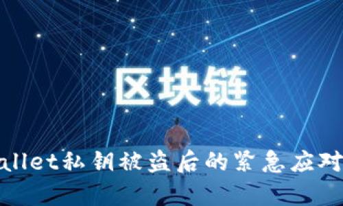 tpWallet私钥被盗后的紧急应对措施