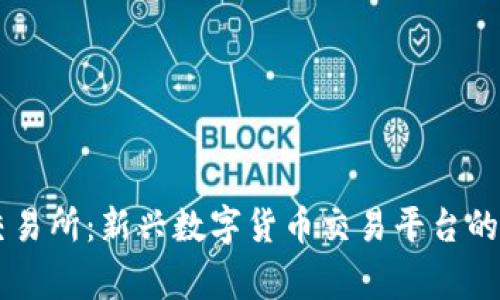 币赢交易所：新兴数字货币交易平台的引领者