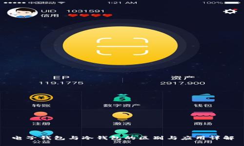 电子钱包与冷钱包的区别与应用详解