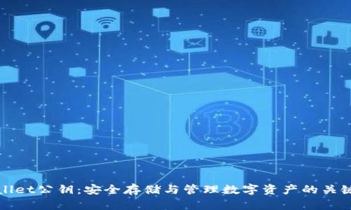 tpWallet公钥：安全存储与管理数字资产的关键指南
