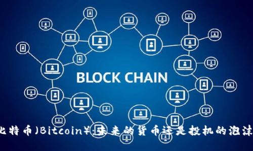 比特币（Bitcoin）：未来的货币还是投机的泡沫？