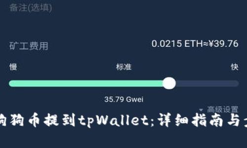 如何将狗狗币提到tpWallet：详细指南与步骤解析