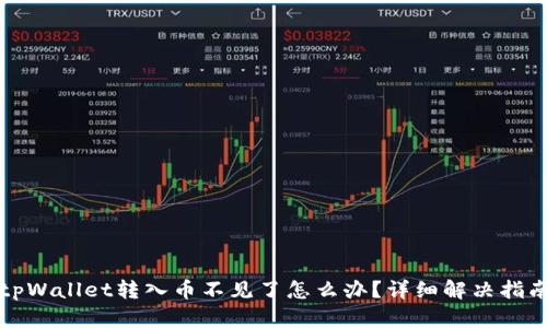 tpWallet转入币不见了怎么办？详细解决指南