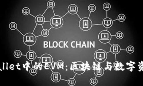 全解tpWallet中的EVM：区块链与数字资产的未来