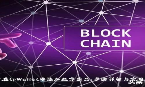 如何在tpWallet中添加数字藏品：步骤详解与实用技巧