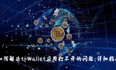 如何解决tpWallet应用打不开的问题：详细指南