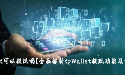 tpWallet可以提现吗？全面解析tpWallet提现功能及注意事项