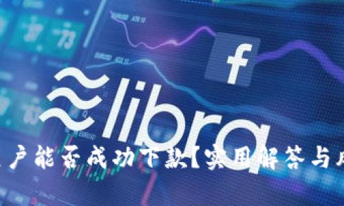 U钱包黑户能否成功下款？实用解答与风险分析