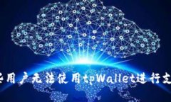 哪些用户无法使用tpWallet进行支付？