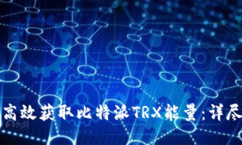 如何高效获取比特派TRX能量：详尽指南