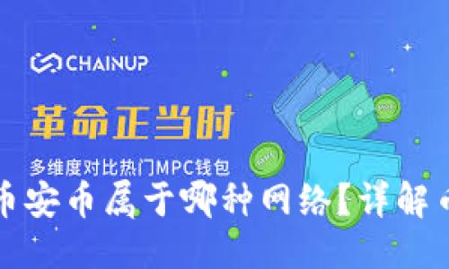 位于标签中
TP冷钱包中的币安币属于哪种网络？详解币安链及其特点