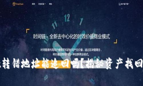 tpWallet转错地址能追回吗？揭秘资产找回的可能性