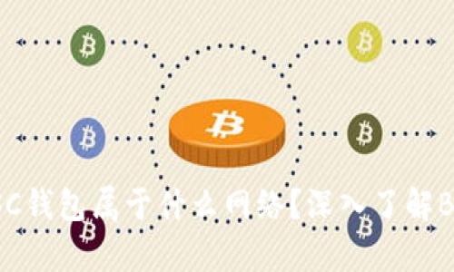 tpWallet中的BSC钱包属于什么网络？深入了解BSC钱包及其优势