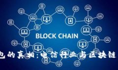 DSIM冷钱包的真相：电信行业与区块链的交集分析