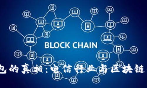 DSIM冷钱包的真相：电信行业与区块链的交集分析