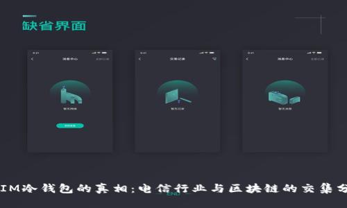 DSIM冷钱包的真相：电信行业与区块链的交集分析