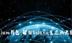 Solanium钱包：解锁Solana生态的无缝体验