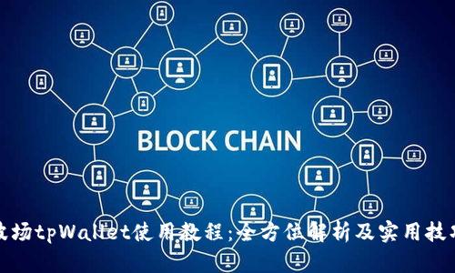 波场tpWallet使用教程：全方位解析及实用技巧