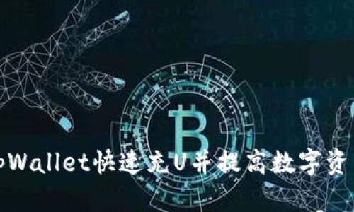 如何使用tpWallet快速充U并提高数字资产管理效率