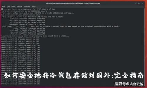 如何安全地将冷钱包存储到国外：完全指南