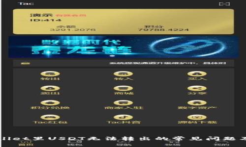 解决tpWallet里USDT无法转出的常见问题及操作指南