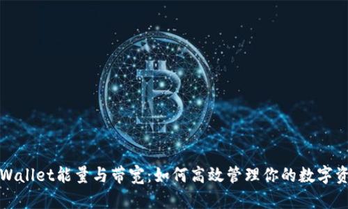 tpWallet能量与带宽：如何高效管理你的数字资产