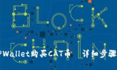 如何使用TPWallet购买CAT币｜详细步骤与实用指南