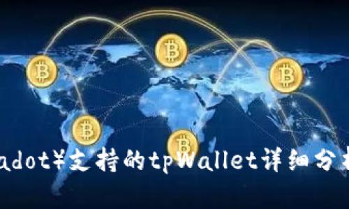 波卡链（Polkadot）支持的tpWallet详细分析与使用指南