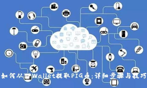 如何从TPWallet提取PIG币：详细步骤与技巧