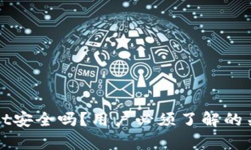 tpWallet安全吗？用户必须了解的关键因素