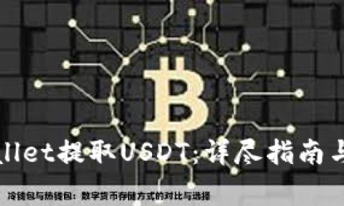 如何使用tpWallet提取USDT：详尽指南与重要注意事项