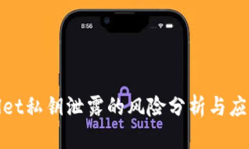 tpWallet私钥泄露的风险分析与应对措施