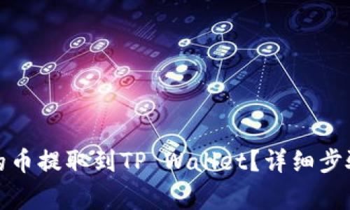 如何将善盾的币提取到TP Wallet？详细步骤与注意事项