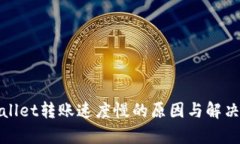 tpWallet转账速度慢的原因与解决方案
